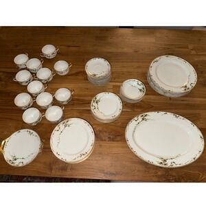 Haviland & Co Limoges France Pine Branch Schleiger 432 Fine China 50 piece set